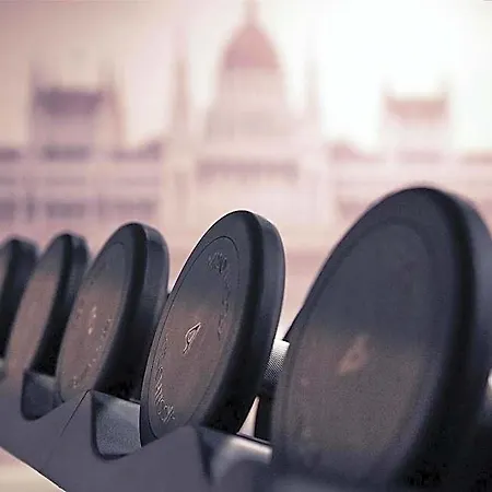 Radisson Collection Hotel, Basilica 호텔